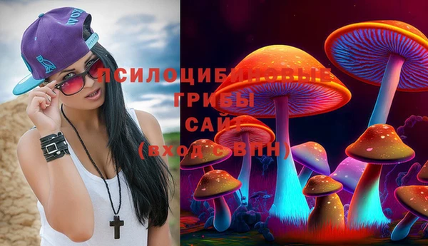 мет Няндома